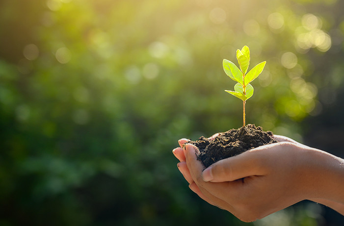 青罗网络集团助力周边社区疫情防控